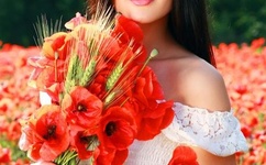 欧美vibeos欧美同志